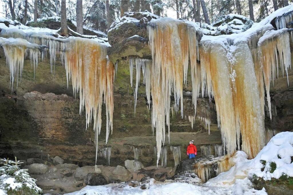 Brana Do Ceskeho Svycarska - Raj Cyklostezek Stare Krecany Exteriör bild